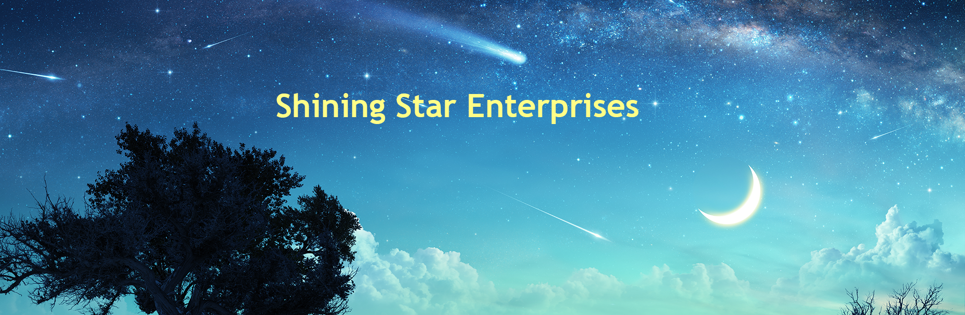 Shining Star Enterprises, LLC